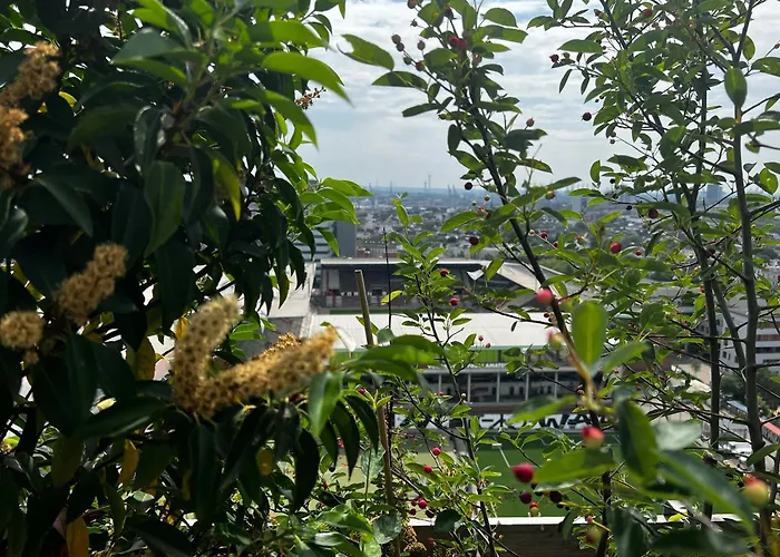 Reverb By Hard Rock Hamborg